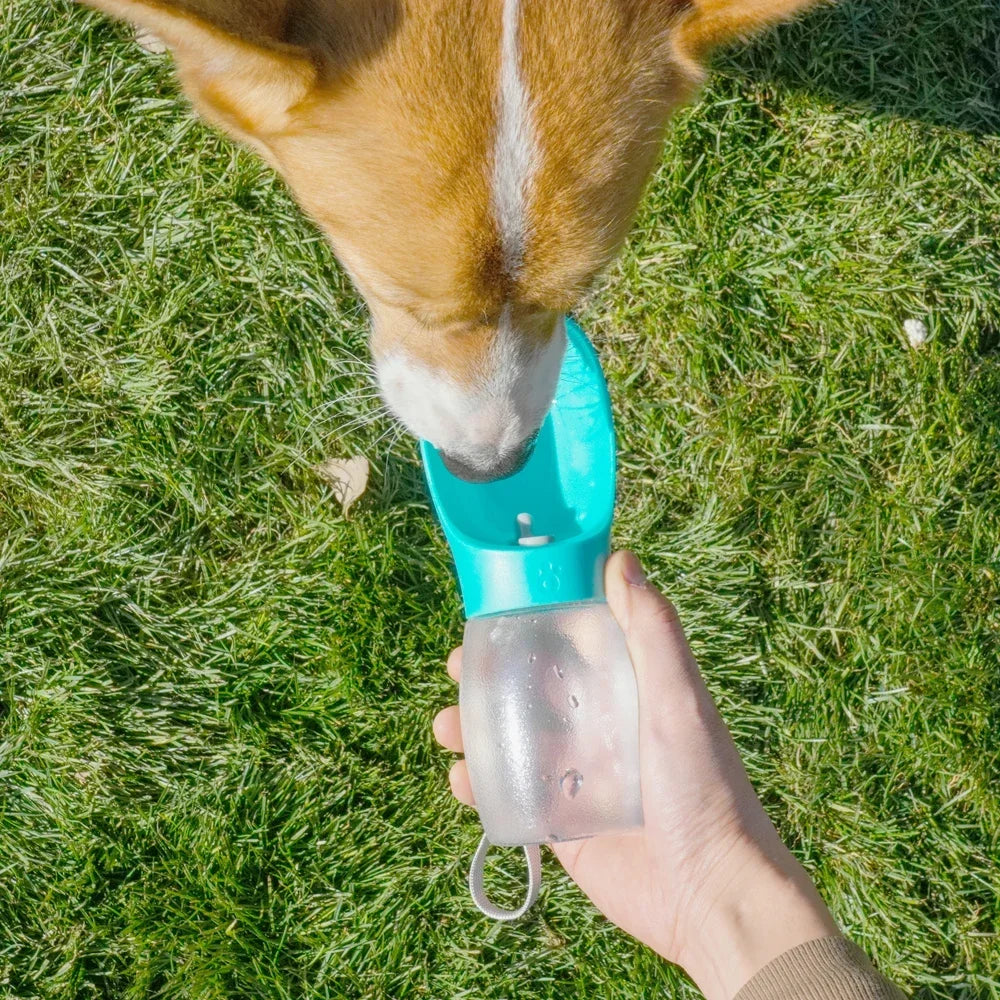 HydroPup